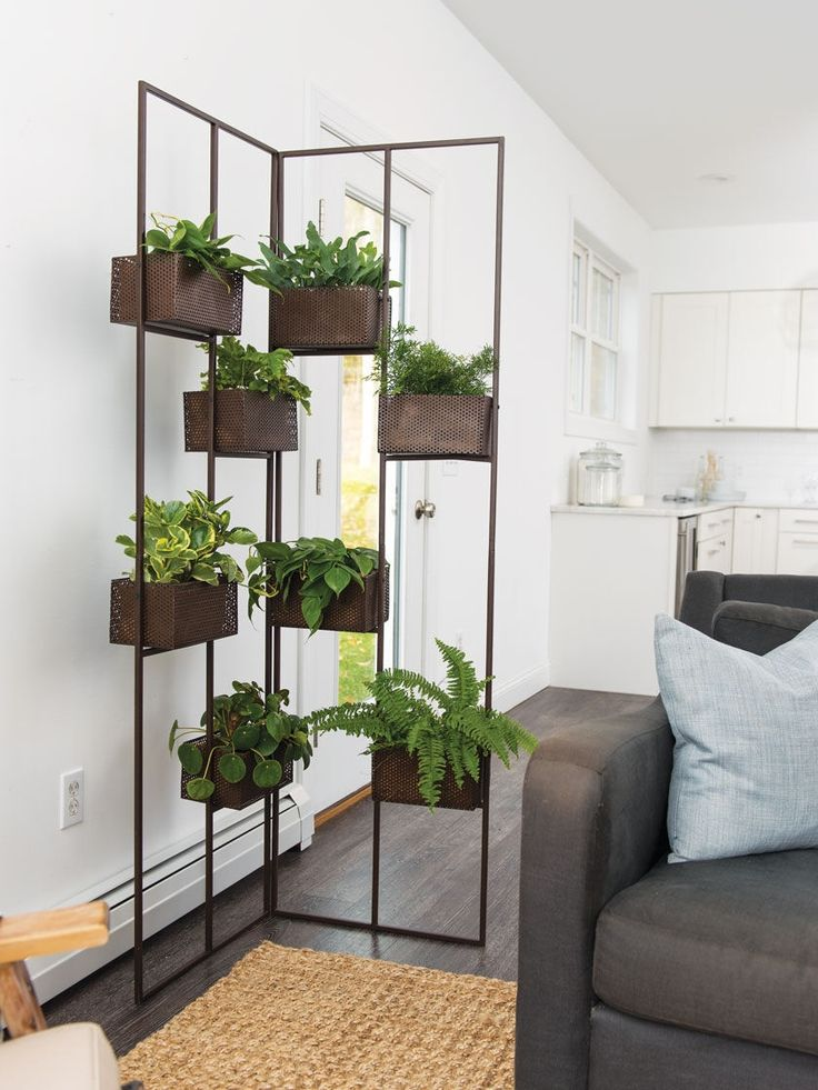 Plant Dividers: Green and Serene